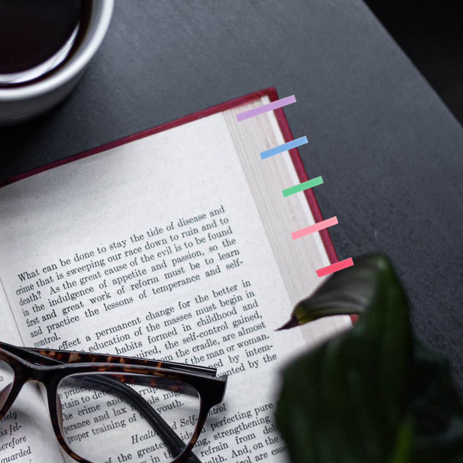 Index Tab Divider - Conjunto de 4 Etiquetas de Leitura